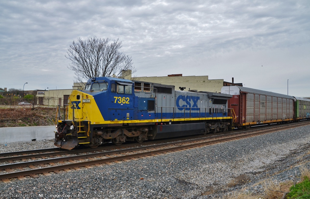 On the 5th, my tree is still naked.